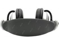 Наушники Panasonic RP-HT223GU-S  Silver  (шнур 3м, 1W)