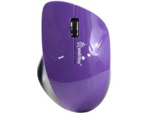 SmartBuy EZ Work Pro Wireless Optical Mouse SBM-309AG-P  (RTL) USB 3btn+Roll, беспроводная