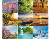 Коврик для мыши Defender Silk Pad Nature  50707  (230x190x2мм)