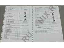 NT AccuPractic/Metal 18/6-66 G Шкаф 19 аккумуляторный,серый 18U 600x600, 1 полка, направл. 6U (3ч)