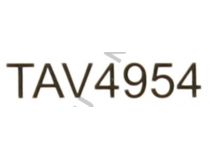 Telecom TAV4954-0.2M Кабель 1RCA-M -- 2RCA-F 0.2м