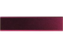 Внешний аккумулятор CANYON CNE-CSPB26R (USB 1A, 2600mAh, Li-Ion)