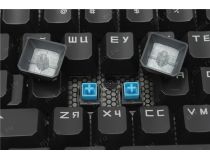 Клавиатура Bloody B800 NetBee LK Blue USB  104КЛ, подсветка клавиш