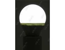 Smartbuy SBL-P45-07-40K-E14 (E14, 600 люмен, 4000К, 7Вт, 160-240В)