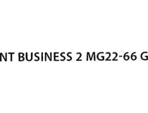 NT BUSINESS 2 MG22-66 G Шкаф 19 напольный 22U 600*600, дверь со стеклом, серый (3ч)
