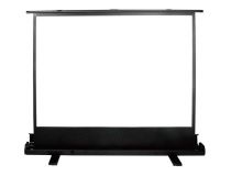 Экран Cactus 120x160см FloorExpert CS-PSFLE-160X120 4:3