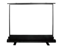 Экран Cactus 68x120см FloorExpert CS-PSFLE-120X68 16:9