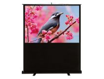 Экран Cactus 90x120см FloorCompactExpert CS-PSFLCE-120X90 4:3