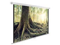 Экран Cactus WallExpert  CS-PSWE-220x220-WT 