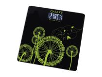 гл4802 Galaxy GL 4802 весы напол.