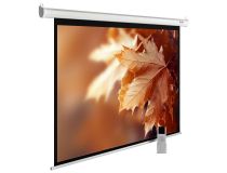 Экран Cactus MotoExpert CS-PSME-300x188-WT 