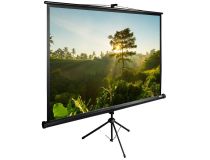 Экран Cactus TriExpert  CS-PSTE-200х200-BK 