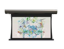 [LCTC-100111] с электропр. Lumien Cinema Tensioned Control 184x286 см (раб.обл. 148х264 см 16:9) (119 ) Matte White