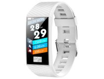 Smarterra FitMaster Pulsar FMPWT  (1.14  240x135 IPS, BT)