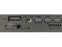 Колонка Defender G24 (10W, FM, USB, microSD, BT, Li-Ion) 65124 