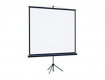 Экран на треноге Lumien Eco View  LEV-100109 (220х220см, MatteWhite)