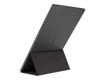 15.6 ЖК монитор ASUS ZenScreen MB16ACE (LCD, 1920 x 1080, USB-C)