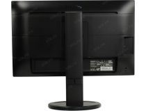 23.8 ЖК монитор PHILIPS 243B9/00 с поворотом экрана (LCD, 1920x1080, D-Sub, HDMI, DP, USB3.2 Hub)