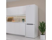 Candy CCRN 6200 W  Холодильник