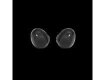 Наушники с микрофоном JBL Tune 115TWS  Black  (Bluetooth 5.0) JBLT115TWSBLK 