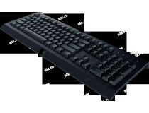 Клавиатура Razer Cynosa Lite  USB 104КЛ RZ03-02741500-R3R1 