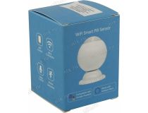 Ritmix  SDT-200-Tuya WiFi датчик движения
