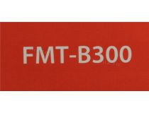Ritmix FMT-B300 (FM Transmitter,передаёт звук на FM-приёмник,пит.от прикур,3xUSB,BT5.0)