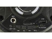 Колонка Defender G70 (12W, FM, USB, microSD, BT, Li-Ion) 65170 