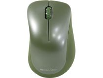 CANYON Wireless Optical Mouse  CNE-CMSW11SM  (RTL) USB 3btn+Roll