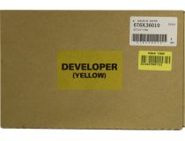  676K36010 Developer Yellow