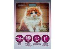 АКСИНЬЯ КС-6000 рыжий кот