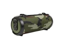 Колонка Telefunken TF-PS1243B Khaki (15W, Bluetooth, microSD, USB, FM, Li-Ion)