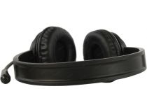 Наушники с микрофоном A4Tech HU-10 Black (шнур 2м, USB, с регулятором громкости)