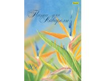 Папка для акварели Silwerhof 914008-54 A3 10л. бум.180г/м2