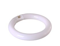 Rexant 31-0801 Лампа кольцевая, люминесцентная (G10q, 1050 люмен, 6500К, 22Вт, 230В)