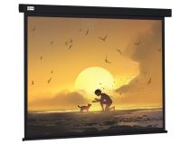 Экран Cactus 150x150см Wallscreen CS-PSW-150X150-BK 1:1 настенно-потолочный рулонный черный