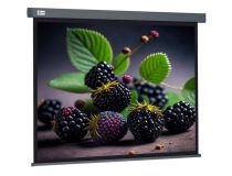 Экран Cactus 127x127см Wallscreen CS-PSW-127X127-SG 1:1 настенно-потолочный рулонный серый