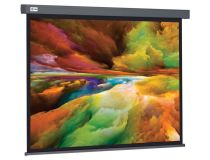 Экран Cactus Wallscreen CS-PSW-152x203+SG (100 , 4:3, 152x203см, Matte White)