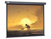 Экран Cactus 124.5x221см Wallscreen CS-PSW-124X221-SG 16:9 настенно-потолочный рулонный серый