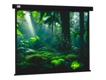 Экран Cactus 213x213см Wallscreen CS-PSW-213X213-BK 1:1 настенно-потолочный рулонный черный