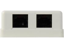 Exegate SM2-RJ45-C6 EX292845RUS Розетка внешняя двойная RJ-45 кат.6