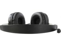 Наушники с микрофоном A4Tech Fstyler FH100U Panda (USB, шнур 2м, с регулятором громкости)