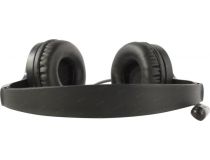 Наушники с микрофоном A4Tech Fstyler FH100 Stone Black (шнур 2м, с регулятором громкости)