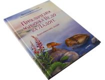 Книга Приключения мышонка Недо на Ладоге  (К. Кретова, Н. Романькова)
