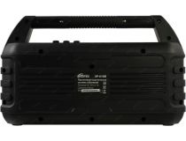 Колонка Ritmix SP-610B Black (2x10W, USB, microSD, FM, Bluetooth 5.0, ПДУ, Li-Ion)