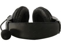 Наушники Ritmix RH-540M (с регулятором громкости, USB, шнур 2м)