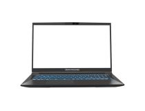 Dream Machines RG3060-17EU38 RG3060-17EU38 17.3 i7 12700H/16384Mb/1024SSDGb/RTX3060(6144Mb)/black/noOS