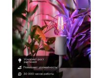 604-146 Лампа филаментная для растений Груша A60 11,5Вт 18 микромоль/с E27 REXANT