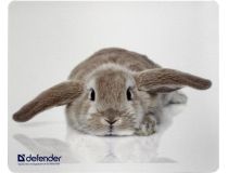 Defender 50706 Kоврик для мыши шёлковый, 230x190x3мм