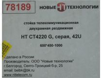 NT R4220 G Стойка 19 двухрамная раздвижная, серая 42U 600x495-790